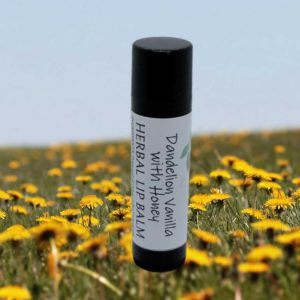 Dandelion Vanilla Lip Balm with Honey