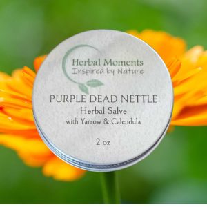 Purple Dead Nettle Salve